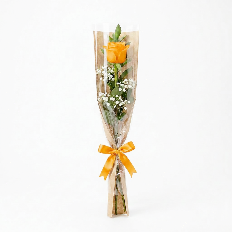 Rose 01