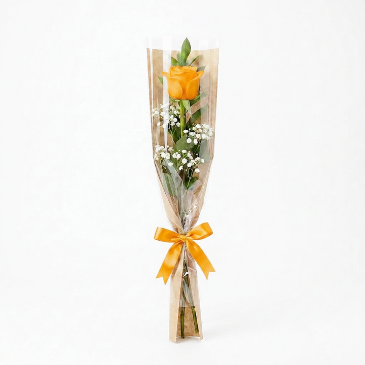 Rose 01