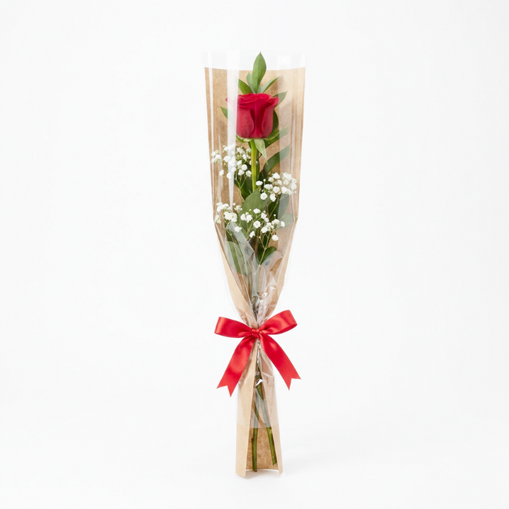 Rose 01