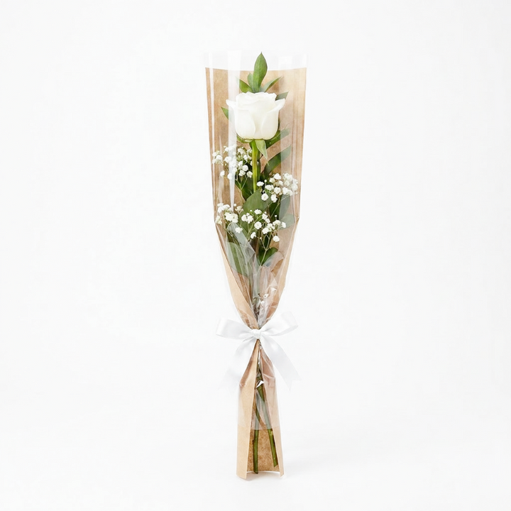 Rose 01