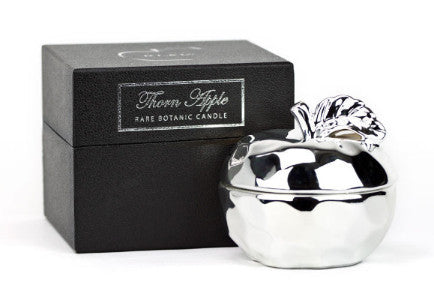 Silver Apple Candle